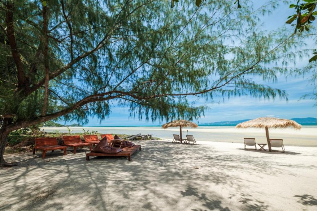 All At Sea Beach Resort All At Sea Beach Resort