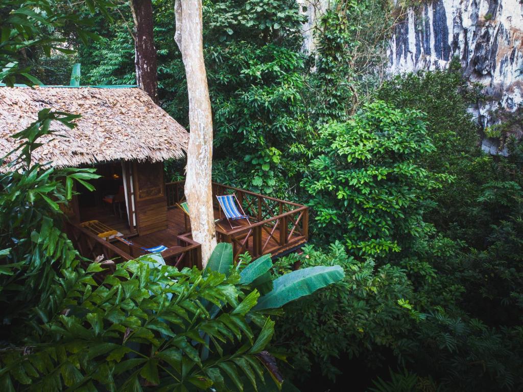 Our Jungle House Our Jungle House