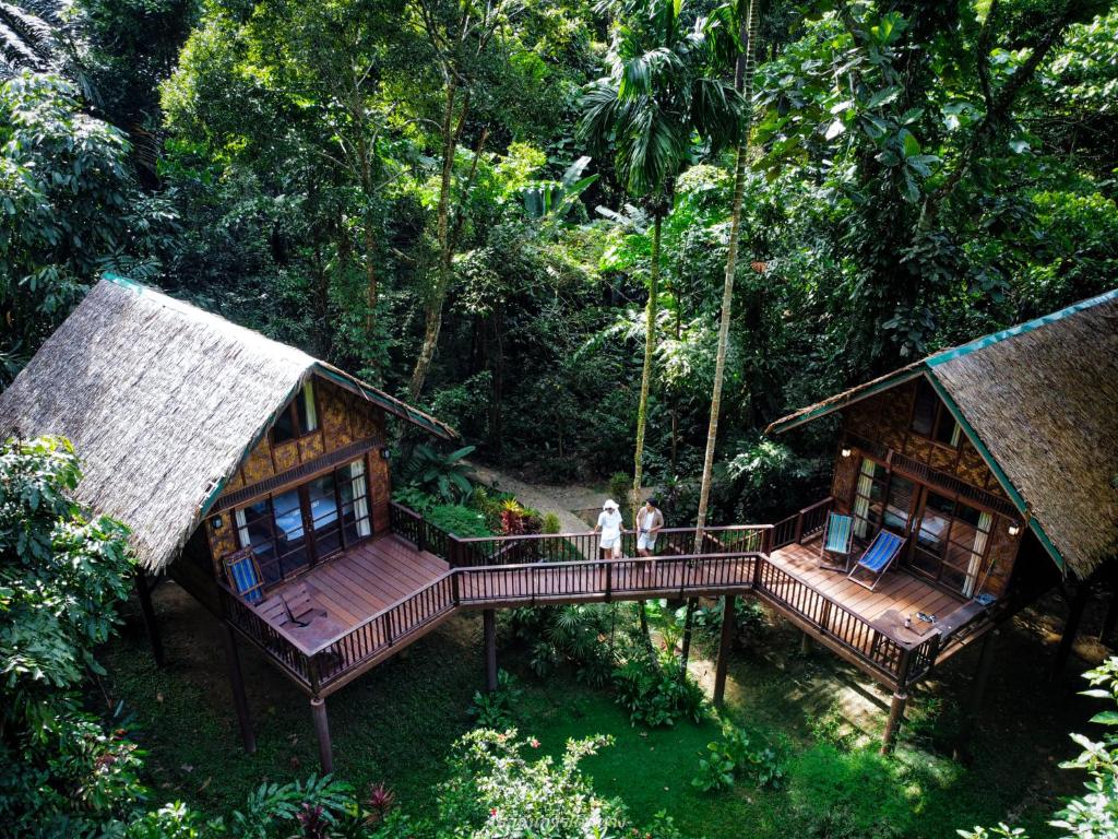 Our Jungle House Our Jungle House