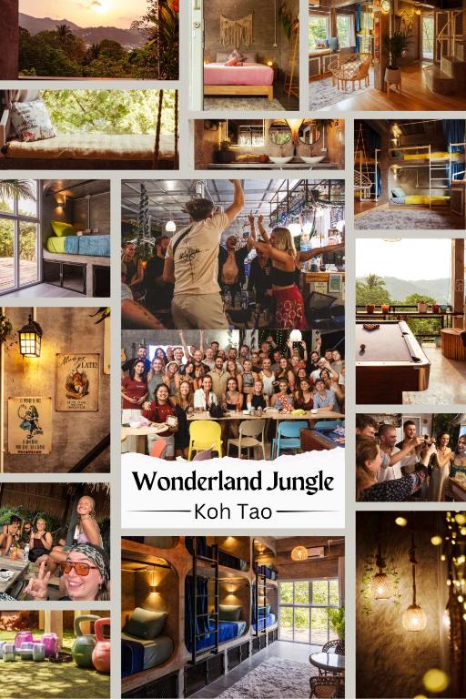 Wonderland Jungle Hostel Wonderland Jungle Hostel