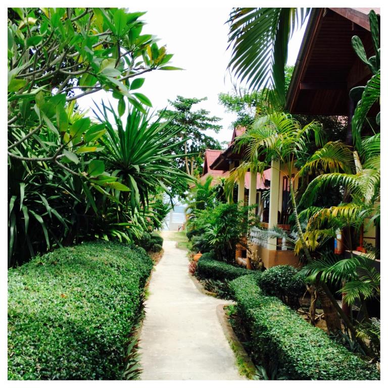 Jungle Hut Bungalows & Hotel