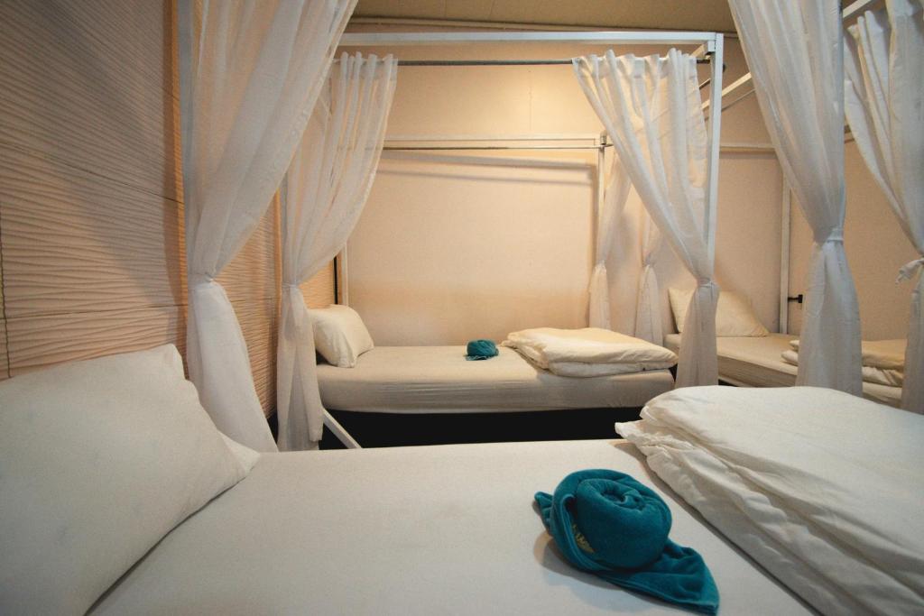Chillax Khaosok Hostel - SHA Certified