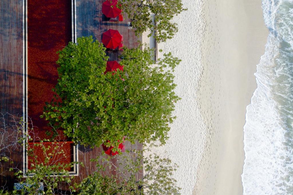 The Secret Pool Villas By The Library Koh Samui The Secret Pool Villas By The Library Koh Samui