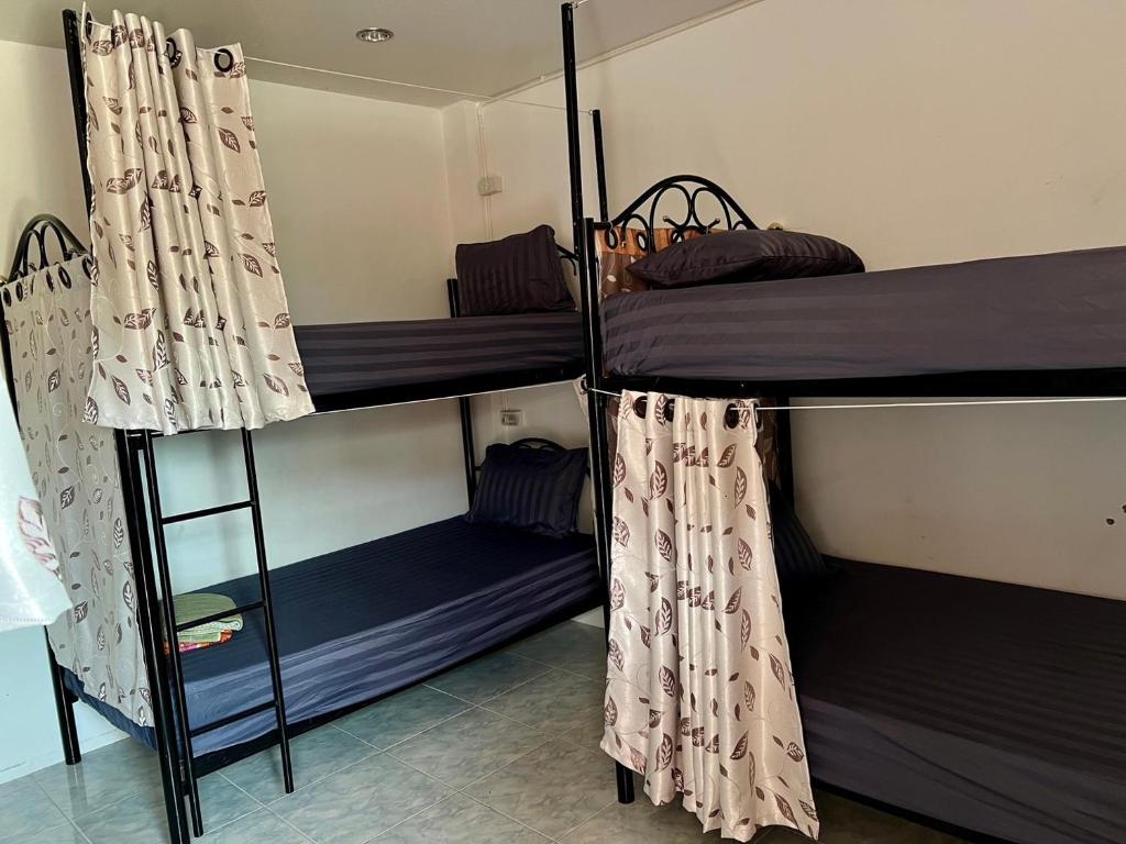 Star Dormitory Star Dormitory