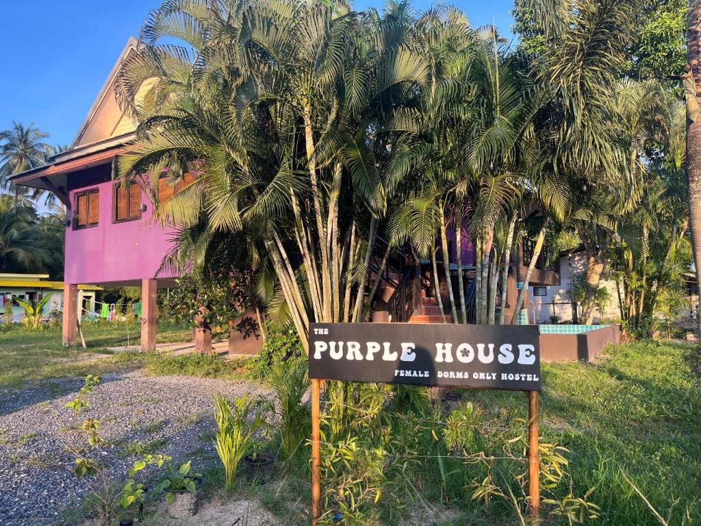 Purple House - Female only Boutique hostel Purple House - Female only Boutique hostel