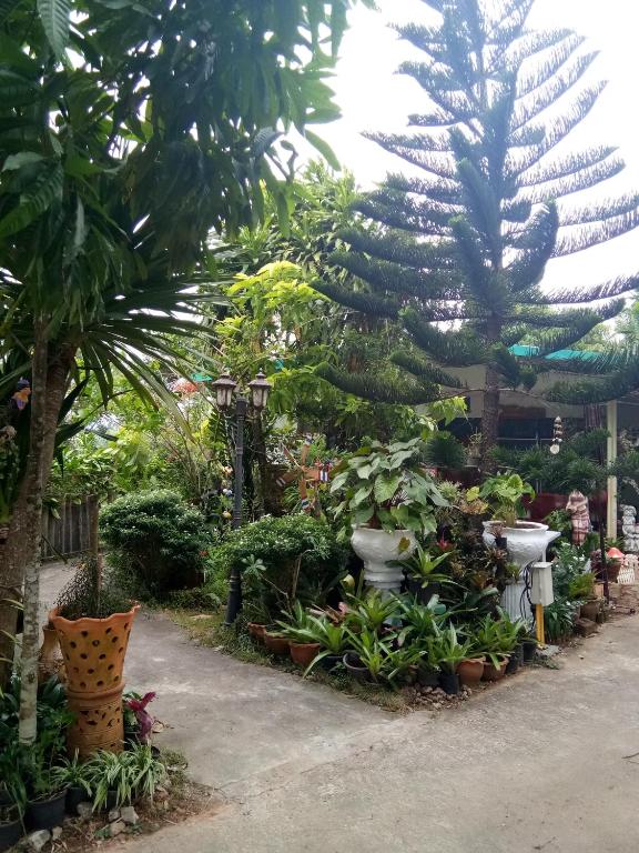Garden Homestay Garden Homestay