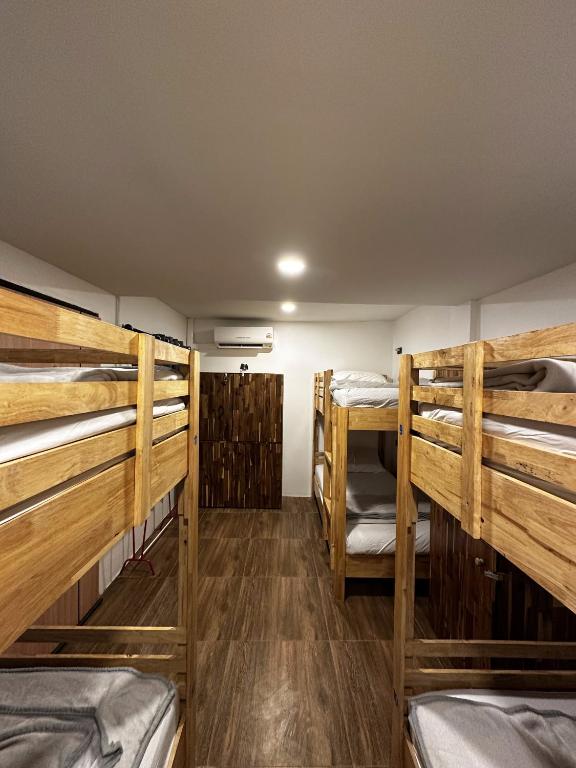Monkey's Hostel