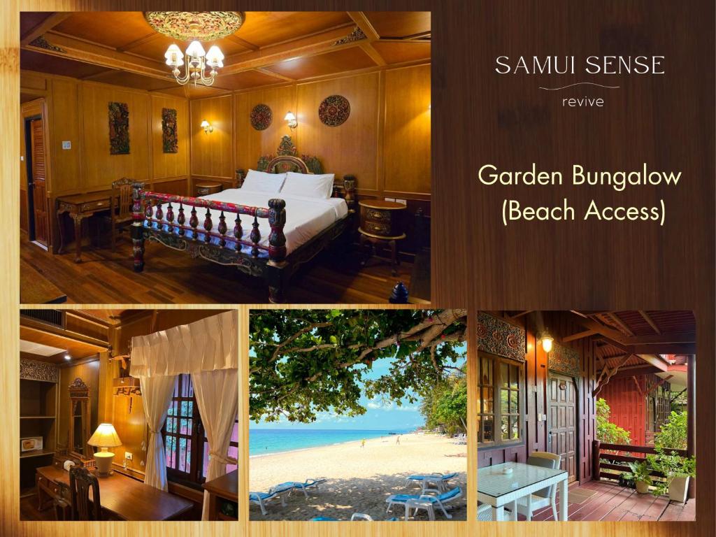 Samui Sense Revive Samui Sense Revive