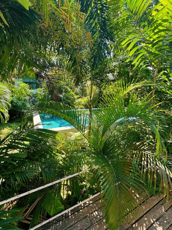 Tropical Bali Style House with Kitchen outside and Shared Pool Tropical Bali Style House with Kitchen outside and Shared Pool