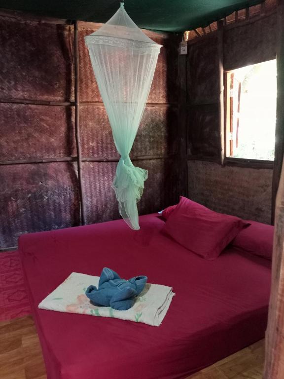 Khai jungle wassanacamp Khai jungle wassanacamp
