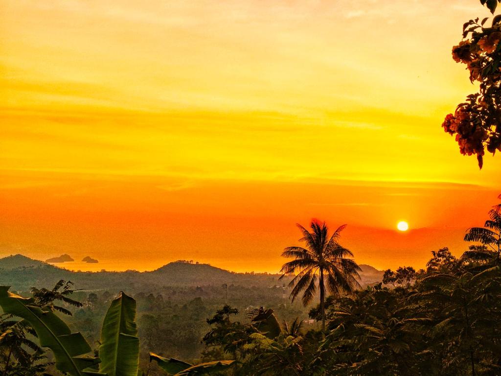 SZ Samui SZ Samui